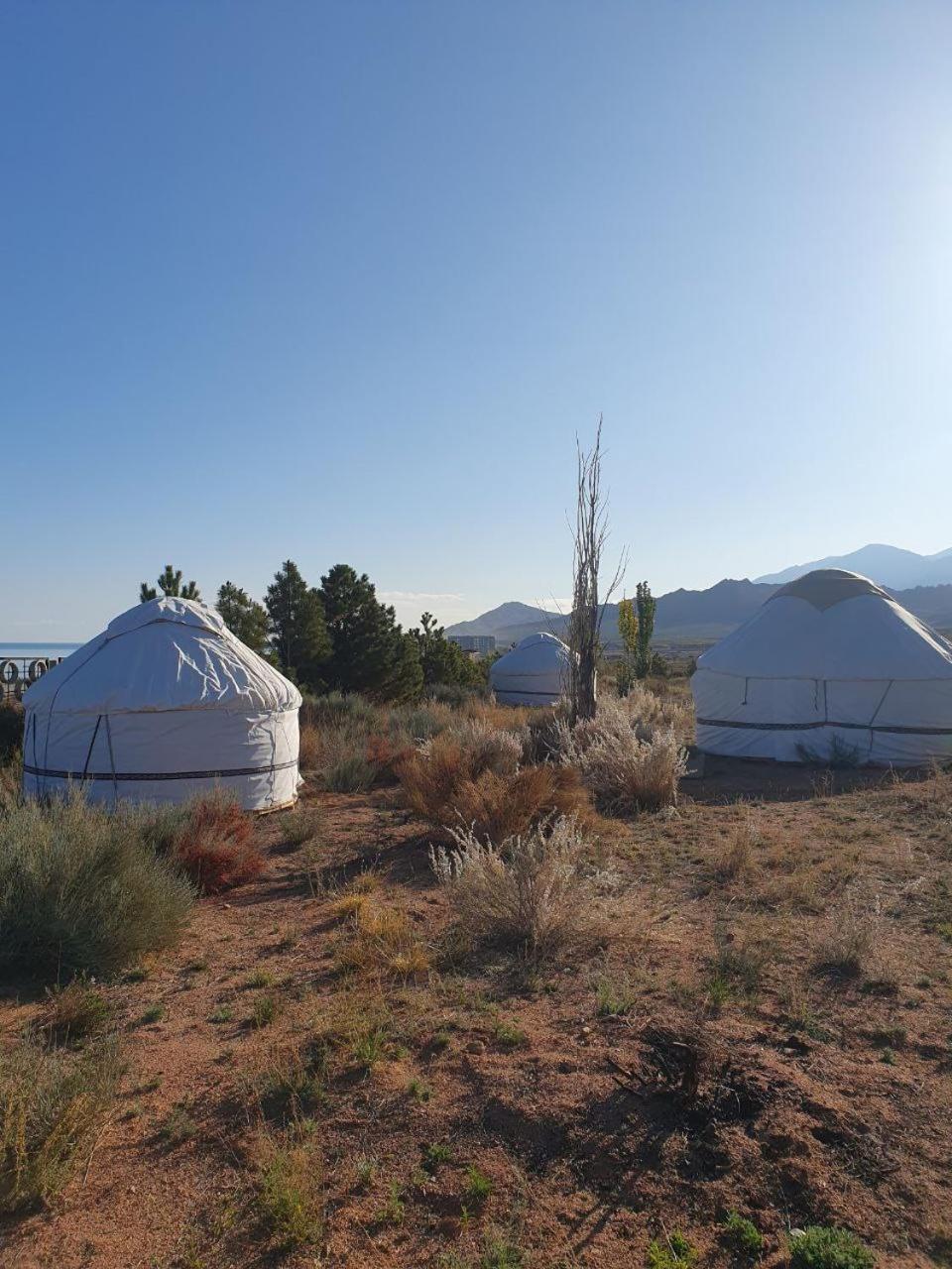 Bed and Breakfast Agat Yurt Camp Каджи-Сай Экстерьер фото